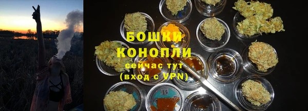 ПСИЛОЦИБИНОВЫЕ ГРИБЫ Михайловск