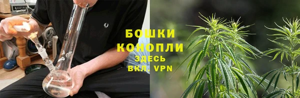 ПСИЛОЦИБИНОВЫЕ ГРИБЫ Михайловск