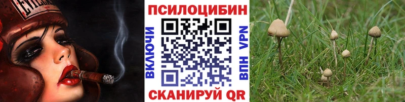 Галлюциногенные грибы Magic Shrooms  Купить где  Абаза 
